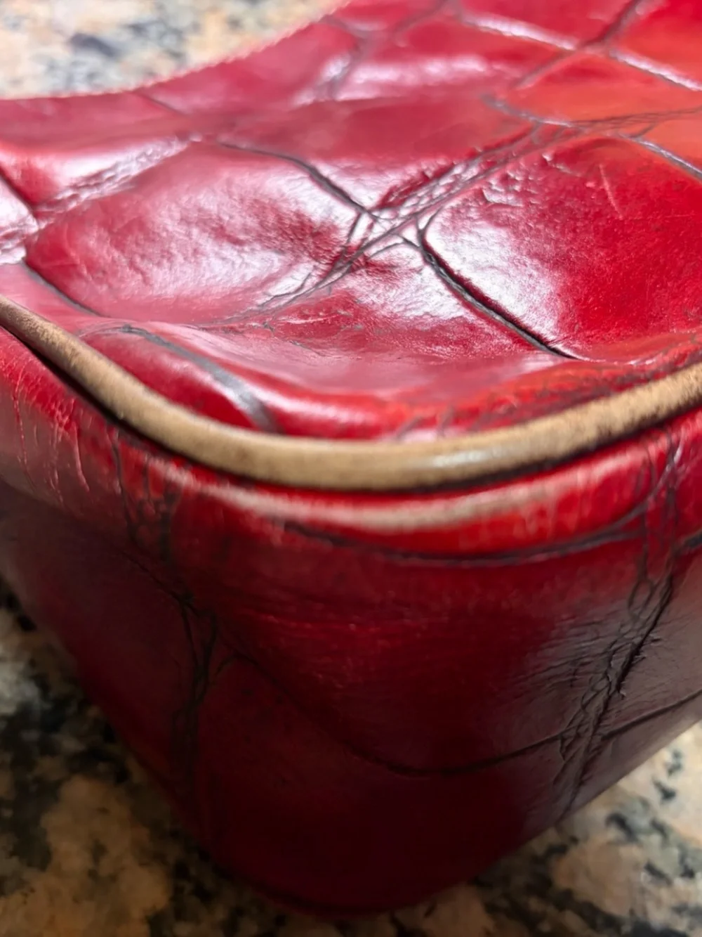 Dooney and Bourke Red Croc Bag